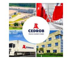 Młodszy Specjalista ds. Technologii w Dziale Technologii i Wdrożeń