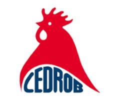 Lider produkcji (K/M)