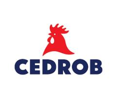 Lider Produkcji  (K/M)