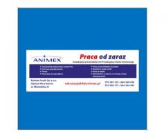 Pracownik Magazynu Żywca