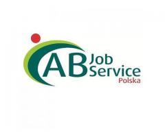 PRACA PRZY SZPARAGACH W HOLANDII