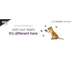 Digital Sales Representative with Czech for Social Media Project
