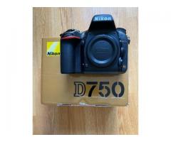 Canon EOS 5D Mark IV, Nikon Z 7II Mirrorless, Canon EOS R5, Nikon D780 - 9