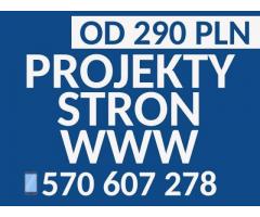Projektowanie responsywnych stron internetowych już od 290 PLN
