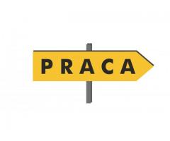 PRACOWNIK PRODUKCJI – Dział przyjęcia żywca